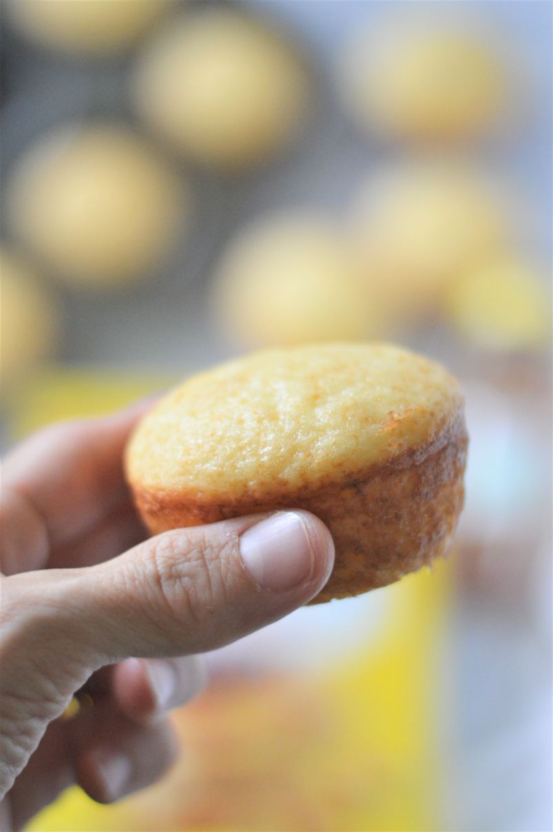 a hand holding a pale golden muffin with a stack of other muffins in a tray in the background